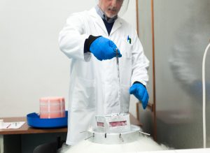 Scientist taking samples from a cryogenic nitrogen container in a science research lab