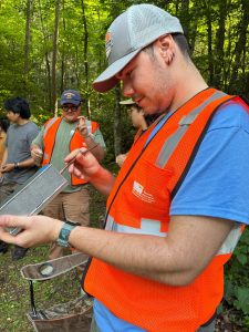 Sampling in the field for the southern water shrew.