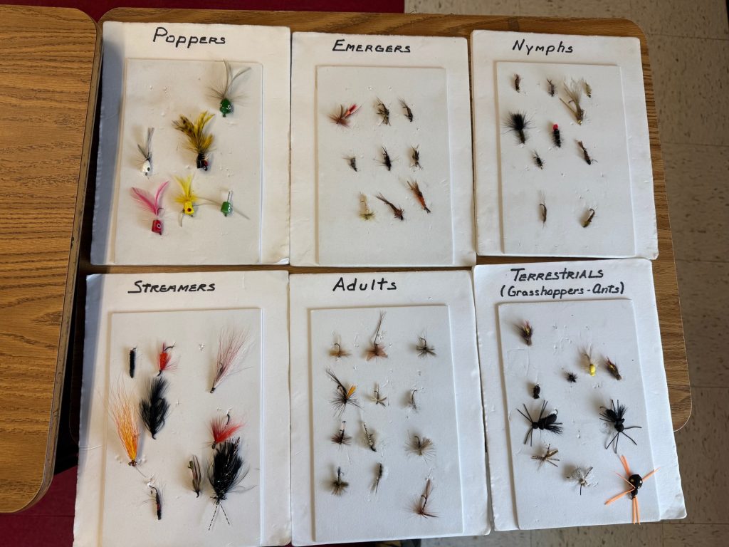 Examples of flies used to catch trout.