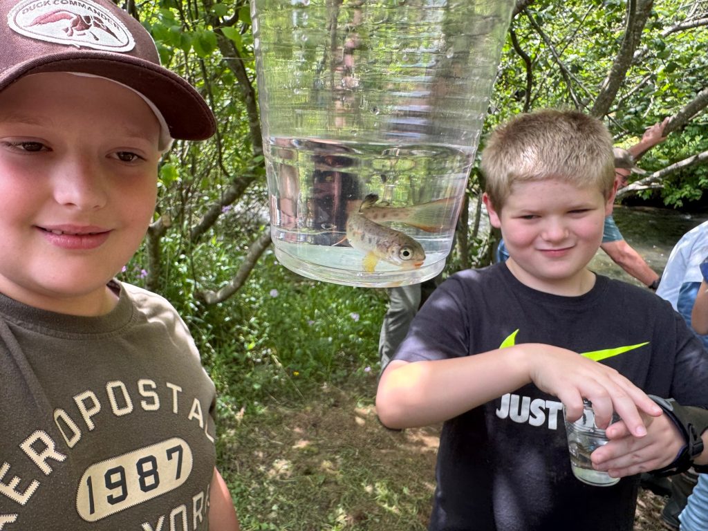 Students getting ready to release fingerling rainbow trout that had been raised in their classroom.